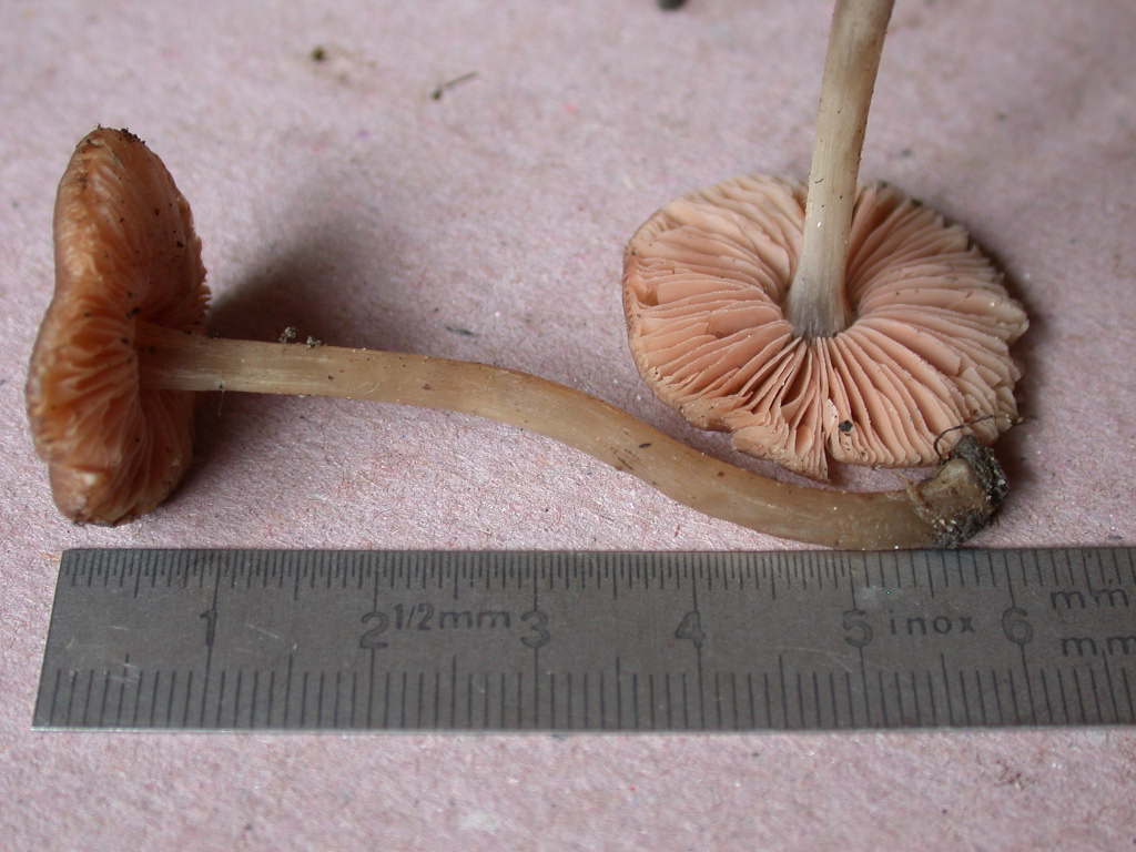 Oggi N�4... 12 Giugno 2010